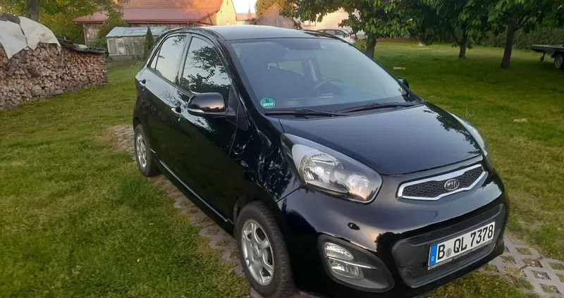 kia picanto pińczów Kia Picanto cena 18800 przebieg: 125400, rok produkcji 2011 z Pińczów